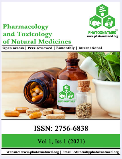 Vol. 1 No. 1 (2021): PTNM 2021 First Issue 